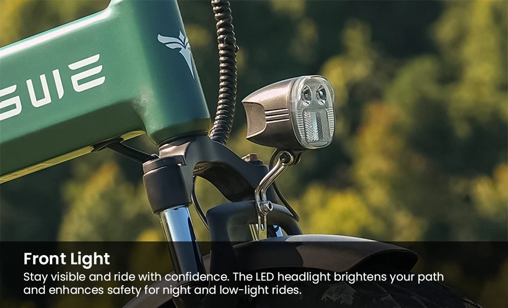 ENGWE EP-2 3.0 Boost Electric Bike, 250W Motor, 48V 13.5Ah Battery, 20*4 inch Tires, 120km Max Range, Hydraulic Brakes, Shimano 7-speed, Torque Sensor, App Control, Fast Charging- Black