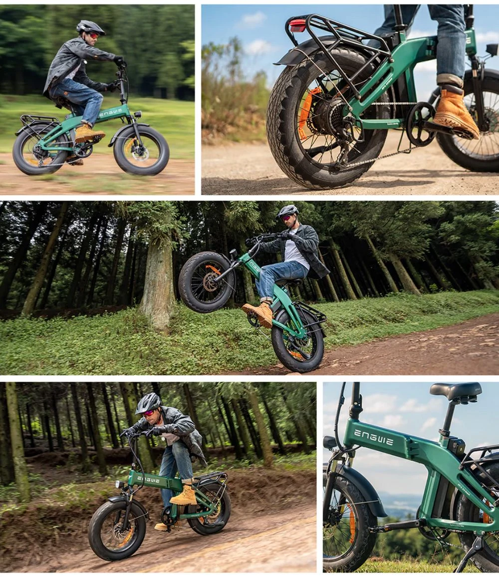 ENGWE EP-2 3.0 Boost Electric Bike, 250W Motor, 48V 13.5Ah Battery, 20*4 inch Tires, 120km Max Range, Hydraulic Brakes, Shimano 7-speed, Torque Sensor, App Control, Fast Charging- Black