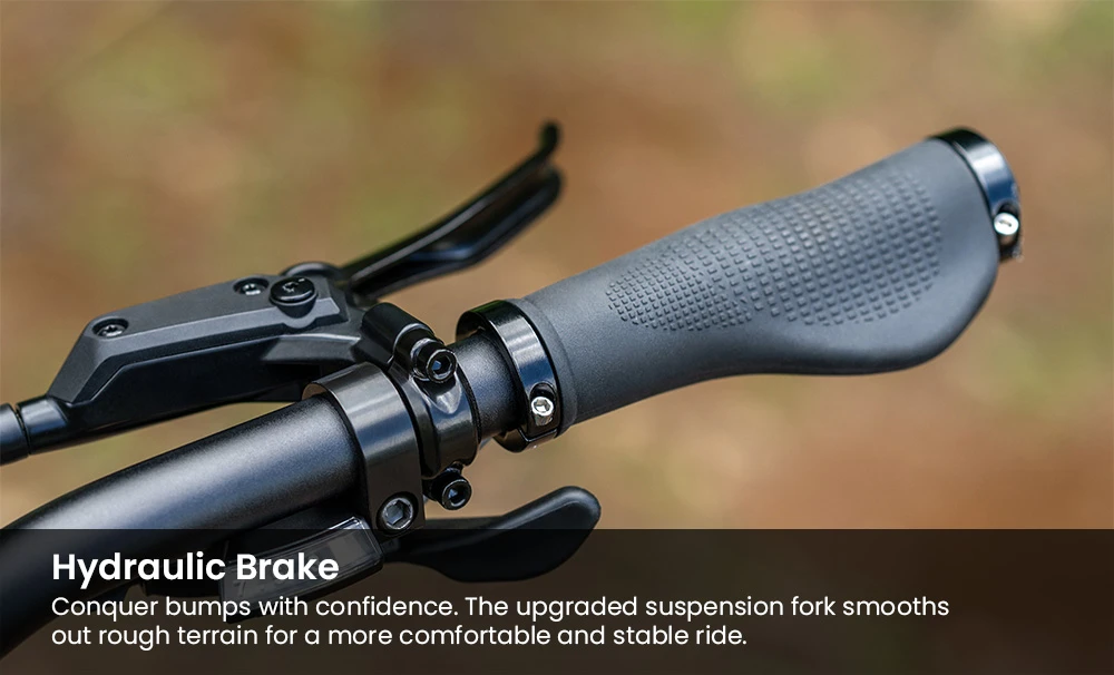 ENGWE EP-2 3.0 Boost Electric Bike, 250W Motor, 48V 13.5Ah Battery, 20*4 inch Tires, 120km Max Range, Hydraulic Brakes, Shimano 7-speed, Torque Sensor, App Control, Fast Charging- Black