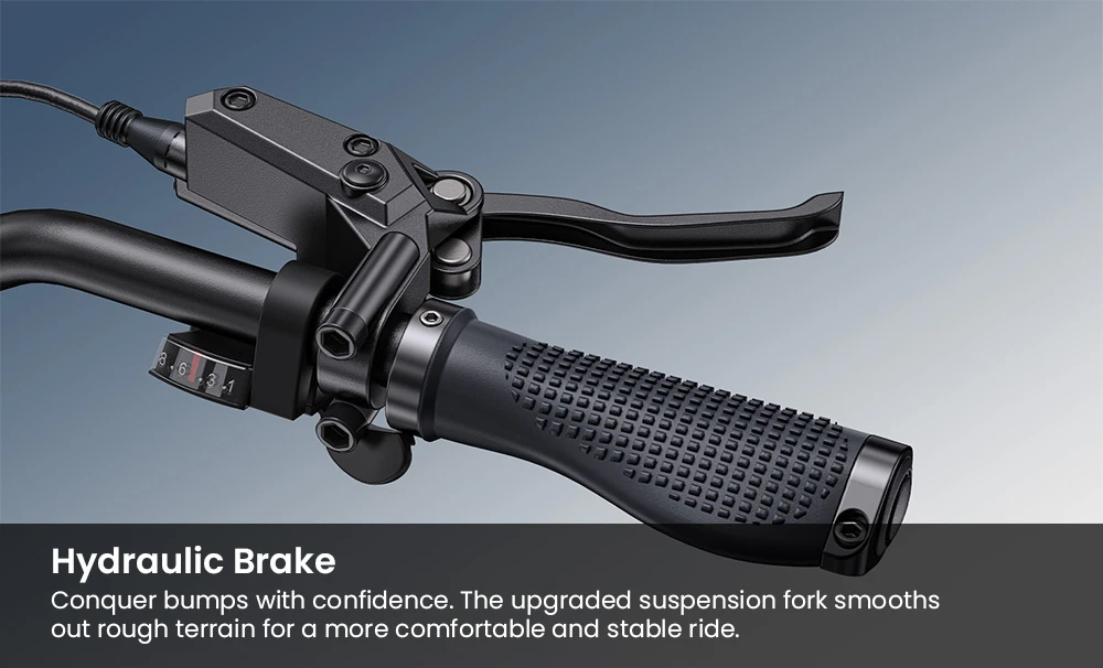 ENGWE Pro 3.0 Boost Electric Bike, 250W Motor, 48V 15Ah Battery, 20*4.0 inch Tires, 130km Range, Hydraulic Brake, Full Suspension, Shimano 7-speed, Torque Sensor, App Control - Black