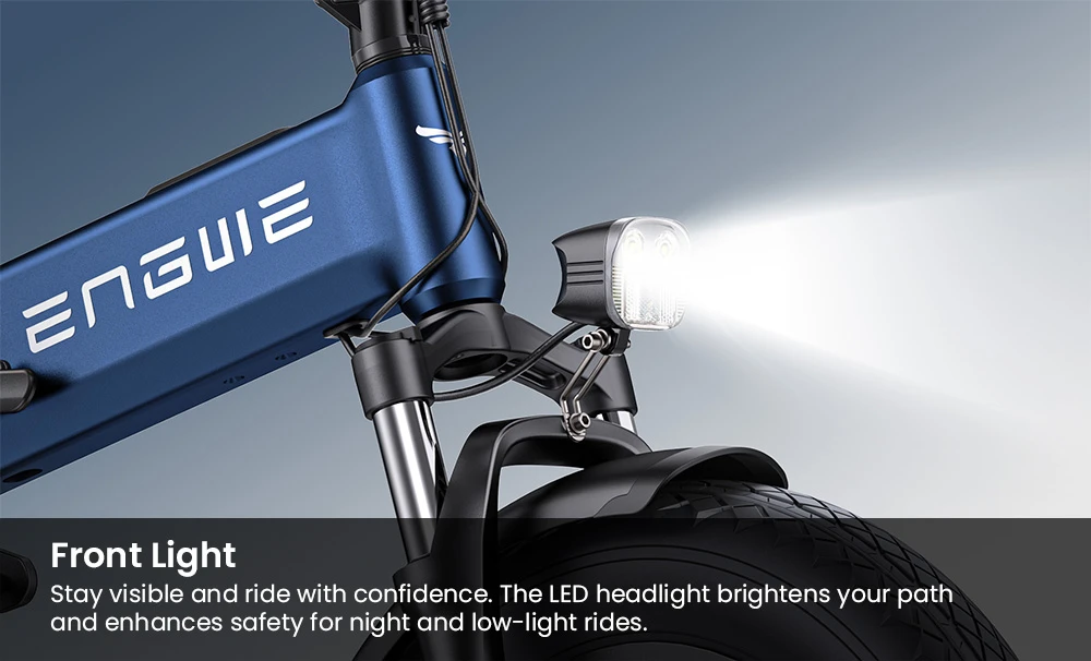 ENGWE Pro 3.0 Boost Electric Bike, 250W Motor, 48V 15Ah Battery, 20*4.0 inch Tires, 130km Range, Hydraulic Brake, Full Suspension, Shimano 7-speed, Torque Sensor, App Control - Black