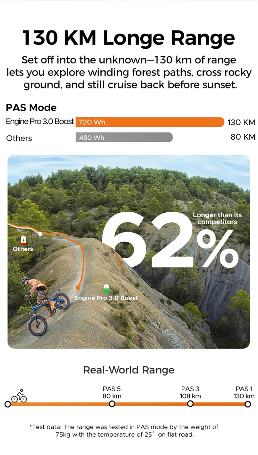 ENGWE Pro 3.0 Boost Electric Bike, 250W Motor, 48V 15Ah Battery, 20*4.0 inch Tires, 130km Range, Hydraulic Brake, Full Suspension, Shimano 7-speed, Torque Sensor, App Control - Black