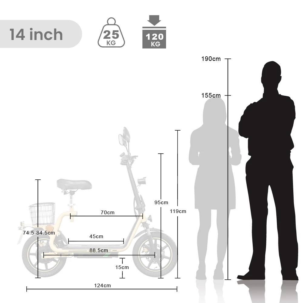 TWOFISH M5 Elite-E Detailbild mit Rahmen