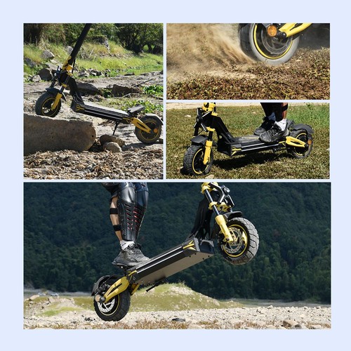 TWOFISH V2 MAX Electric Scooter, 800W Motor, 48V 20Ah Battery, 10 inch Tires, 25km/h Max Speed, 50km Range, Dual Disc Brake, Front & Rear Spring Shock Absorbers, NFC Unlock