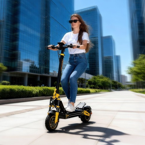 TWOFISH V2 MAX Electric Scooter, 800W Motor, 48V 20Ah Battery, 10 inch Tires, 25km/h Max Speed, 50km Range, Dual Disc Brake, Front & Rear Spring Shock Absorbers, NFC Unlock