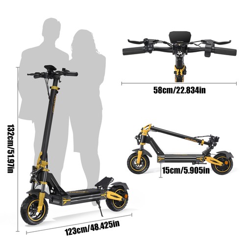 TWOFISH V2 MAX Electric Scooter, 800W Motor, 48V 20Ah Battery, 10 inch Tires, 25km/h Max Speed, 50km Range, Dual Disc Brake, Front & Rear Spring Shock Absorbers, NFC Unlock