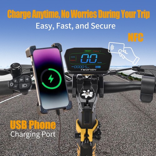 TWOFISH V2 MAX Electric Scooter, 800W Motor, 48V 20Ah Battery, 10 inch Tires, 25km/h Max Speed, 50km Range, Dual Disc Brake, Front & Rear Spring Shock Absorbers, NFC Unlock