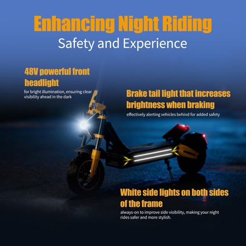 TWOFISH V2 MAX Electric Scooter, 800W Motor, 48V 20Ah Battery, 10 inch Tires, 25km/h Max Speed, 50km Range, Dual Disc Brake, Front & Rear Spring Shock Absorbers, NFC Unlock