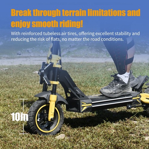 TWOFISH V2 MAX Electric Scooter, 800W Motor, 48V 20Ah Battery, 10 inch Tires, 25km/h Max Speed, 50km Range, Dual Disc Brake, Front & Rear Spring Shock Absorbers, NFC Unlock