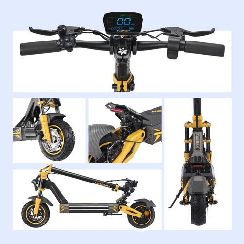 TWOFISH V2 MAX Electric Scooter, 800W Motor, 48V 20Ah Battery, 10 inch Tires, 25km/h Max Speed, 50km Range, Dual Disc Brake, Front & Rear Spring Shock Absorbers, NFC Unlock