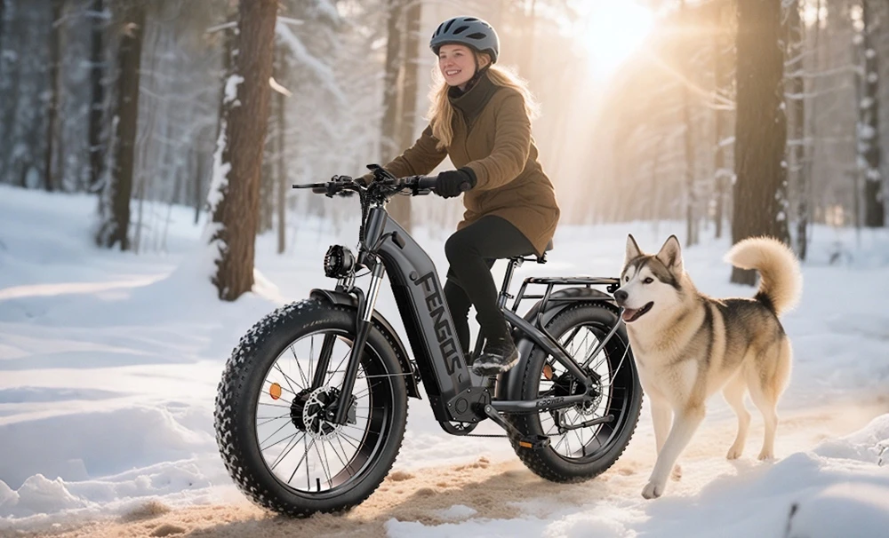 Vélo électrique FENGQS H2, moteur 2 x 1000 W, batterie 52 V 20 Ah, pneus 26 x 4 pouces, vitesse maximale 50 km/h, autonomie maximale 145 km, freins à disque hydrauliques, suspension avant, transmission Shimano 7 vitesses - Gris