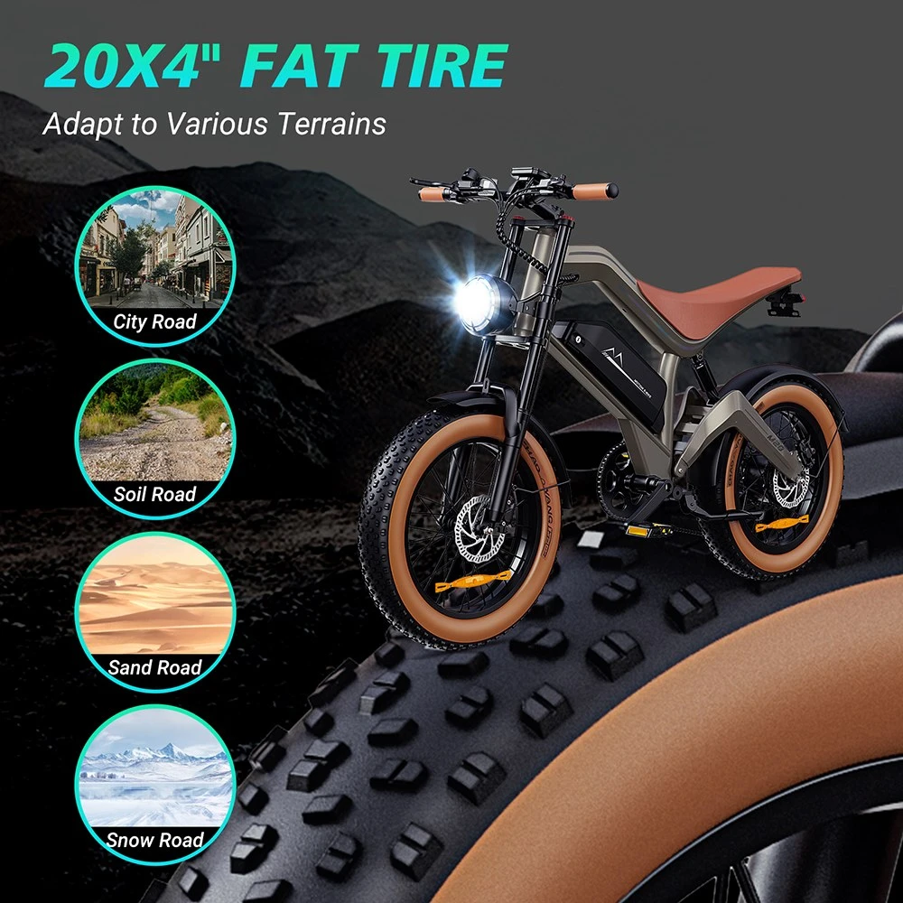 Ηλεκτρικό ποδήλατο ZONVEER M20, κινητήρας 1000W (1500W Peak), μπαταρία 48V 18,2Ah, μέγιστη ταχύτητα 55km/h, εμβέλεια PAS 60km, 20