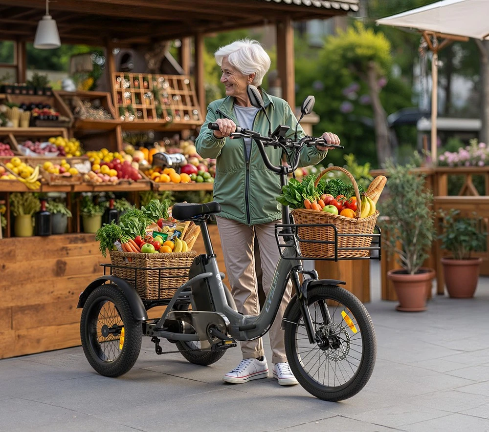 Cysum AG1 Pro Electric Tricycle, 750W High-Speed Motor, 48V 20Ah Battery, 100km Range, 25km/h Top Speed, SHIMANO MT200 Hydraulic Disc Brakes, Front & Rear Cargo Baskets, Shock-absorbing Front Fork & Seat, NFC Unlock, IPX5