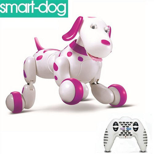 smart dog toys