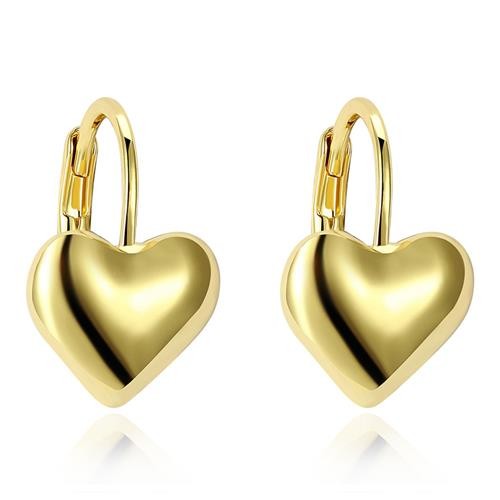 AKE167 K Gold Earrings Gold