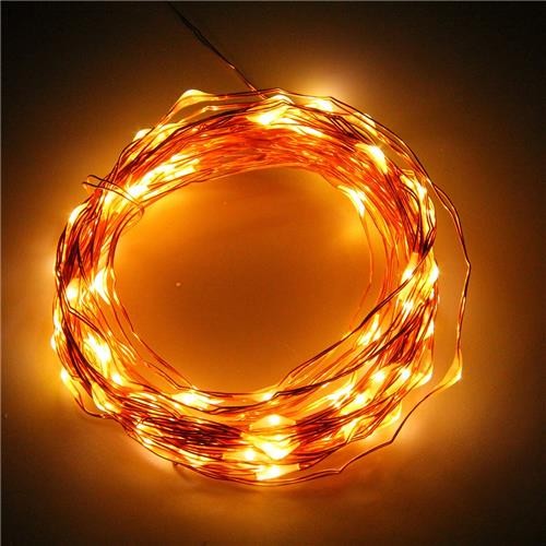 ZK875902 10M 100LED Copper Wire Light Warm