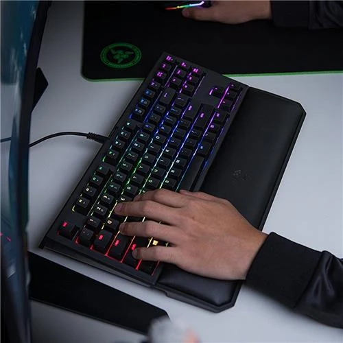 Razer BlackWidow on sale TE Chroma v2 Mechanical Gaming Keyboard Green Switches