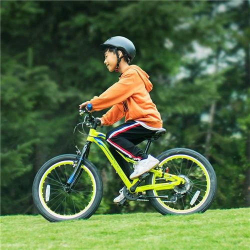 Xiaomi best sale qicycle mtb