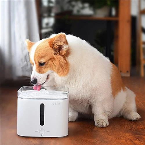 Petkit Fresh Smart Pet Water Dispenser White