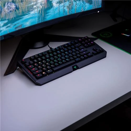 On sale Razer Blackwidow TE Chroma V2