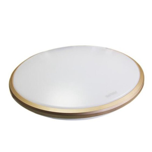 Philips Led Ceiling Light 17w 6500k Gold