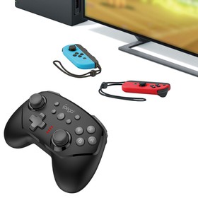 skywin switch joy pad controllers