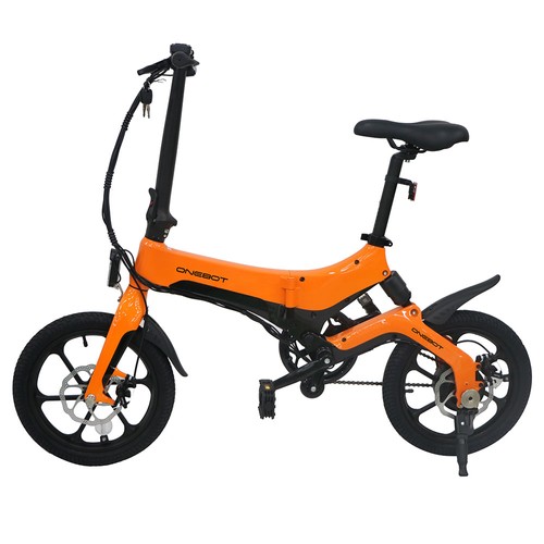 250w electric bike