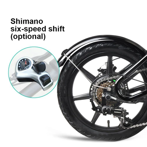 FIIDO D2S Folding Moped Electric Bike Gear Shifting Version Dark Gray