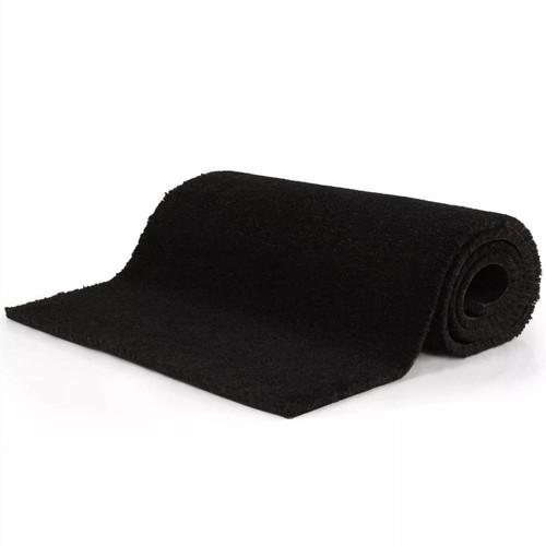Doormat Coir 24 mm 100x300 cm Black