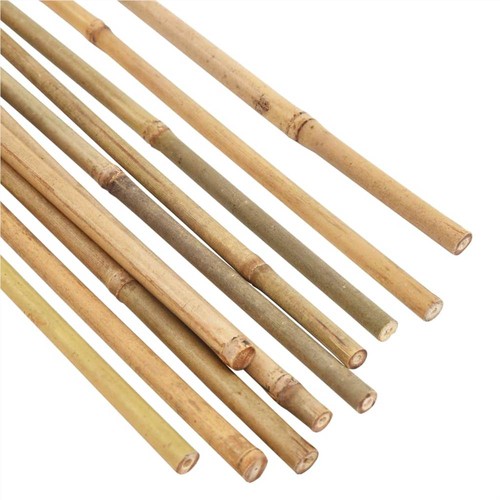 Garden Bamboo Stakes 50 pcs 150 cm