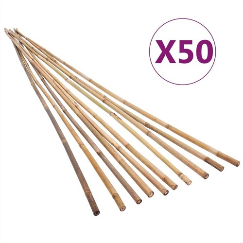 Bamboo Stakes —