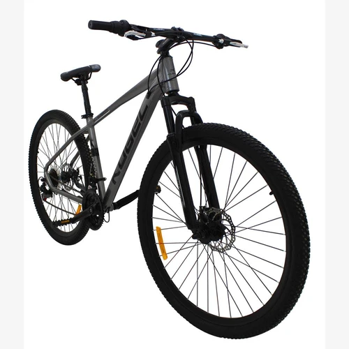 29 inch bicycle with gear