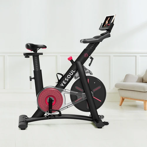 Belt drive spin deals bike