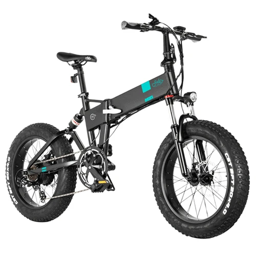 Fiido cheap fat bike