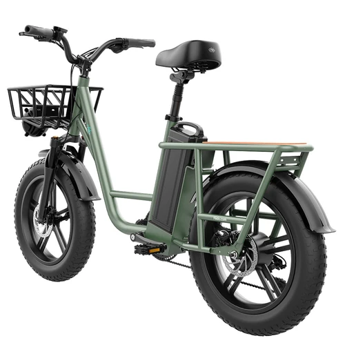 FIIDO T1 Cargo Electric Bike 20 Inch 50Km h 48V 20AH 750W Motor Green