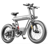 COSWHEEL T20 E-bike Motore da 500 W Batteria da 48 V 20 Ah Portata 50-70 km 45 kmh Velocità massima Bici fuoristrada Grigio siderale