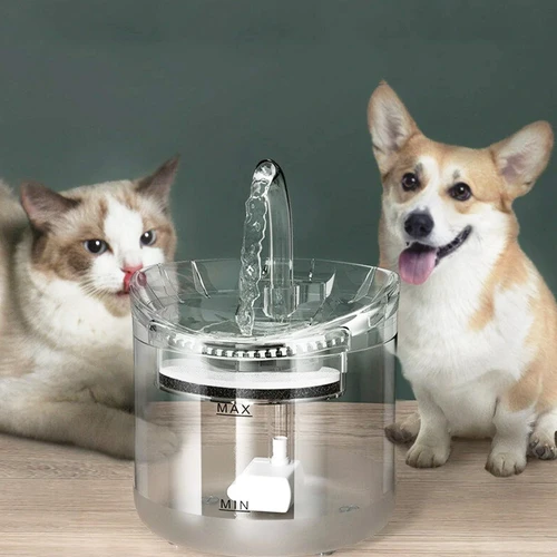 Pet water dispenser outlet filter