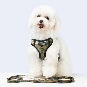 DOGNESS Harness Dog Leash Sets