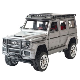 SG Pine Forest 2401 RTR 1/24 2.4G 4WD RC Car