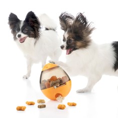 2-In-1 Treat Dispenser Toy for Pets