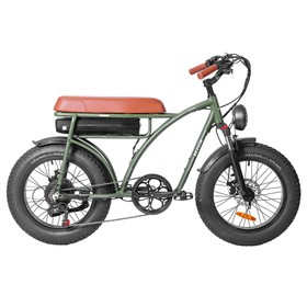 BEZIOR XF001 Bicicleta eléctrica retro 1000W 12.5Ah 48V 20 pulgadas 45Km/h Verde