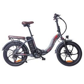 Vélo électrique F20 Pro 20 pouces 25Kmh 36V 18AH 250W  Gris