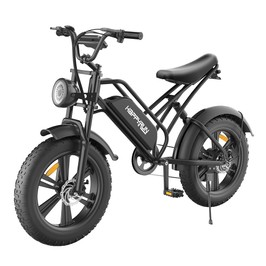 HAPPYRUN HR-G50 Electric Bike 20*4.0 Inch Fat Tires