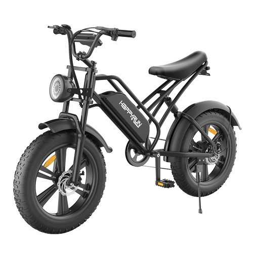 HAPPYRUN HR-G50 Elcykel 20 tum 48V 18AH 750W Motor 45Km/h Hastighet