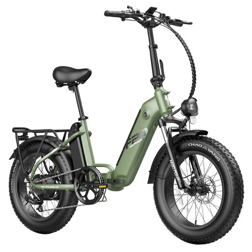 FF20 Polar E-Bike 40 km/h 500 W 48 V 10,4 Ah Doppelbatterie Grün