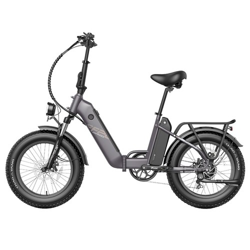 FF20 Polar E-Bike 40 km/h 500 W 48 V 10,4 Ah Doppelbatterie Grau