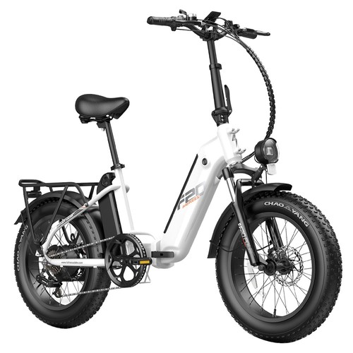 FF20 Polar E-Bike 40Km/h 500W 48V 10,4AH Dubbelt batteri Vit