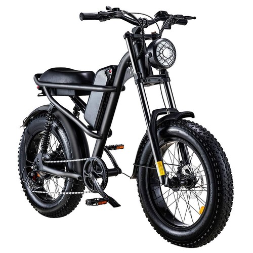 Z8 Electric Bike 20*4.0'' Fat Tire 48V 500W Motor 15Ah Battery Europe