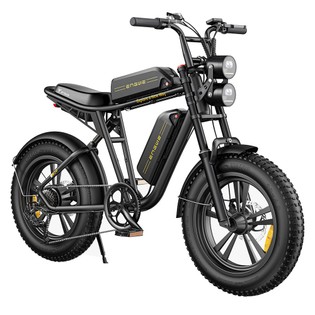 ENGWE M20 Electric Bike 2*13Ah Batteries 20*4.0 inch Tires 750W Brushless Motor 45km/h Max Speed Front & Rear Disc Brakes – Black