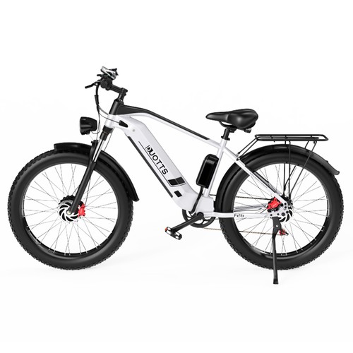 DUOTTS F26 Electric Bike 26 Inch 55Km/h 20Ah 750W*2 Dual Motors Silver